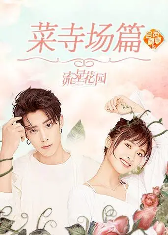 《星花园菜寺场篇》：回忆杀！重温经典日剧，甜蜜爱情永不过时！