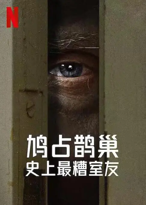 《史上最糟糕的室友》：比恐怖片还刺激的真人真事！你敢合租吗？