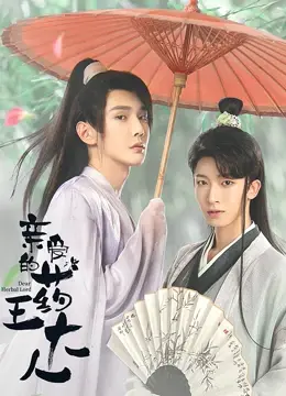 《亲爱的药王大人第二季》：药王新冒险的奇幻旅程与情感深度解析，让人沉迷的续集魅力